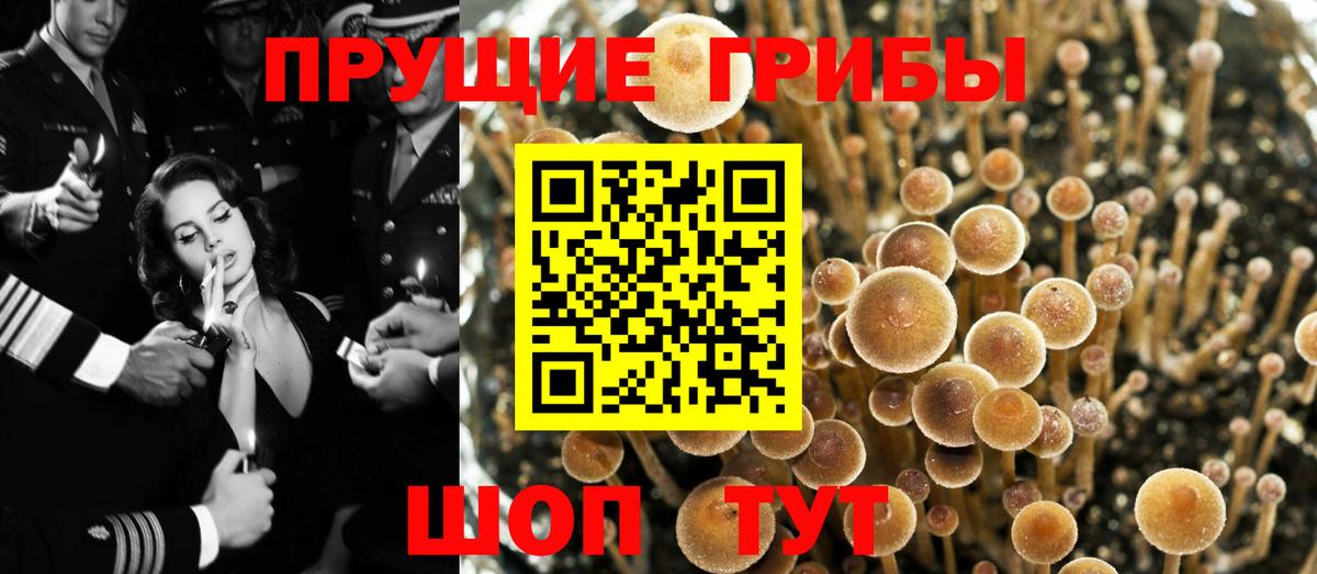 Галлюциногенные грибы мицелий Глазов