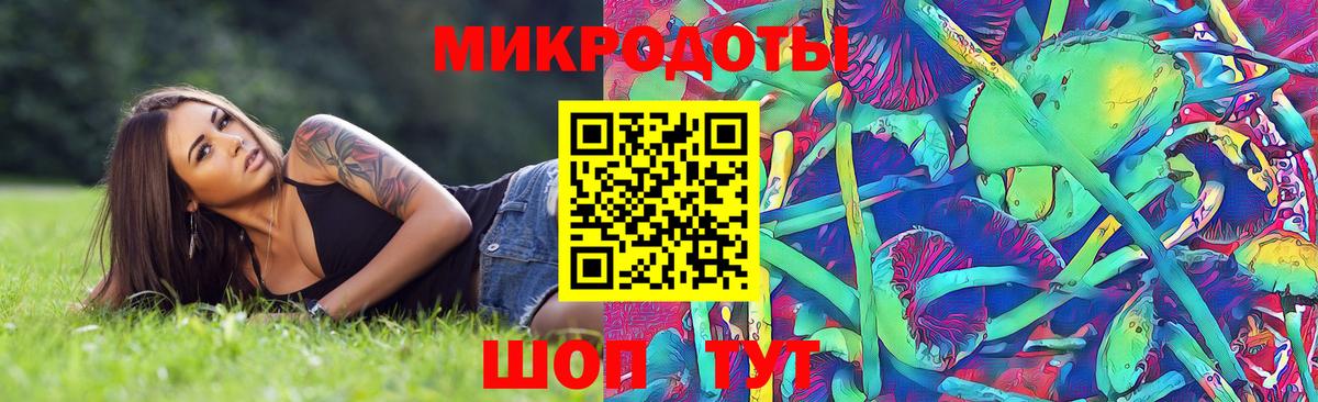 Глазов  Галлюциногенные грибы прущие грибы  Вход с VPN 